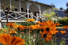 Forest1_edge_cottage_dwellingup-1