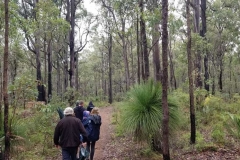 bush_walking2