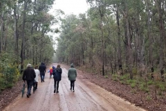 bush_walking_dwellingup