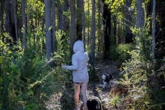 bushwalk2_dwellingup