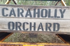 caraholly_orchard_dwellingup