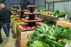 caraholly_orchard_dwelllingup