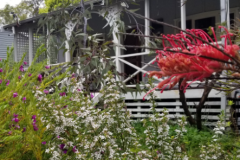 forest edge cottage dwellingup