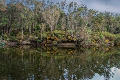 lane_pool2_dwellingup