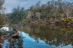 lane_pool_dwellingup