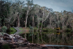 lanepool_dwellingup
